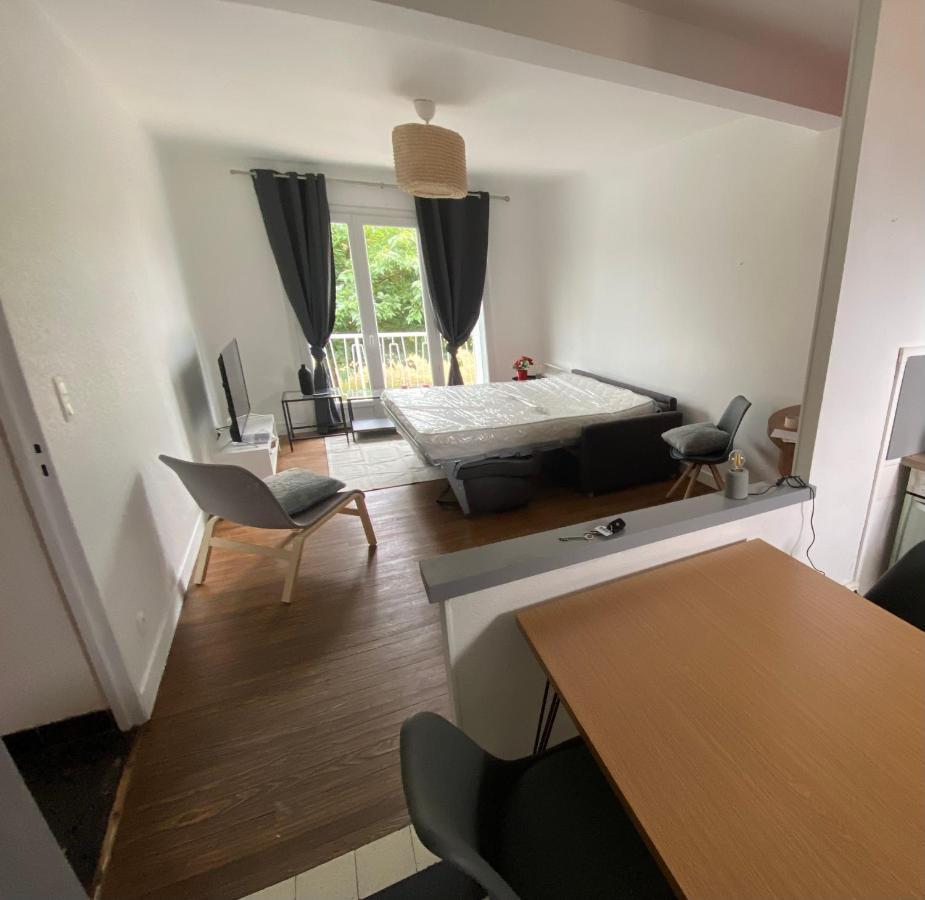 Apartmán Fabuleux T3 De 85 M2, Situe Au Calme Avec Grand Parking Gratuit Prive ,Fibre Wifi Saint Gaudens Exteriér fotografie